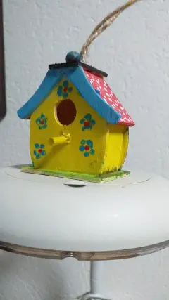 IMG 20260114 WA0007 vogelhuisje